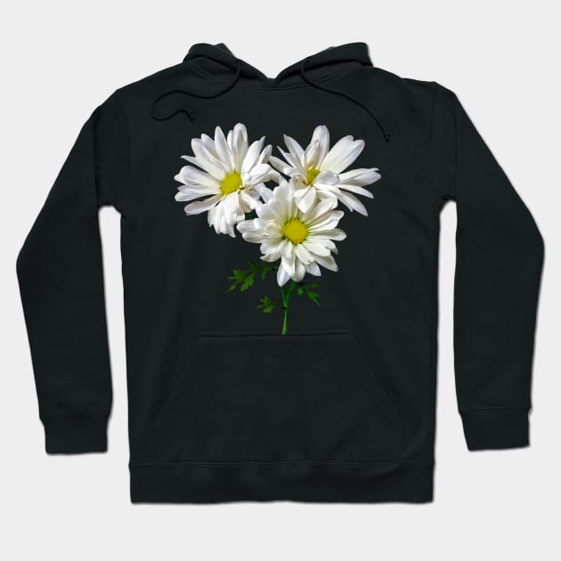 Three White Daisies Hoodie by SusanSavad